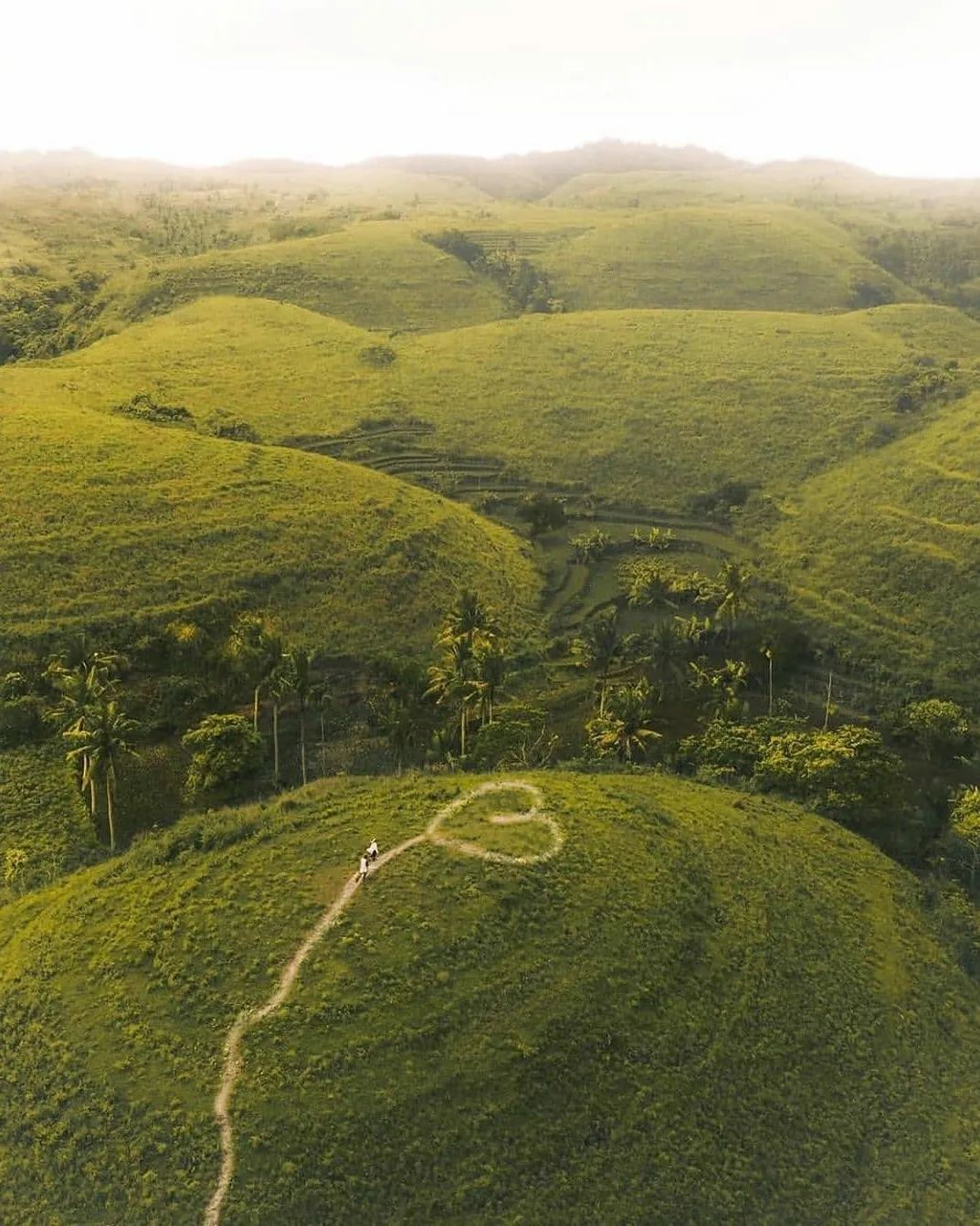 bukit teletabis