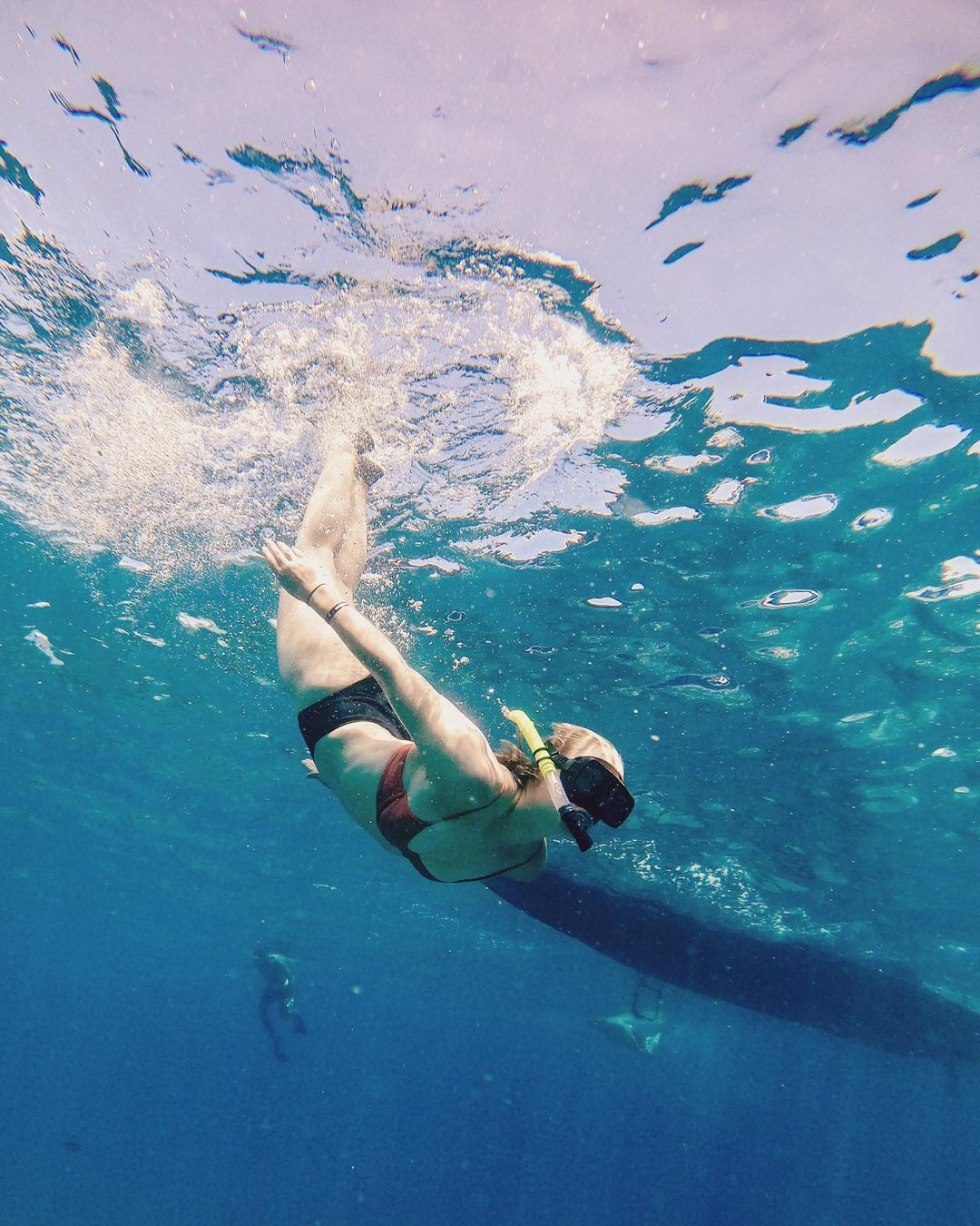 ig @carl_der_otterr manta bay