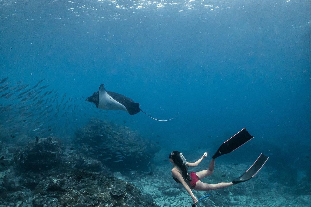 ig @ferry_mozard manta bay